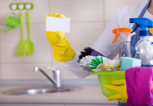 Pet stain odour removal on carpet with cleaning supplies
