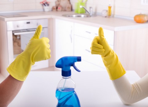 Stain removal supplies arranged for cleaning fresh spills