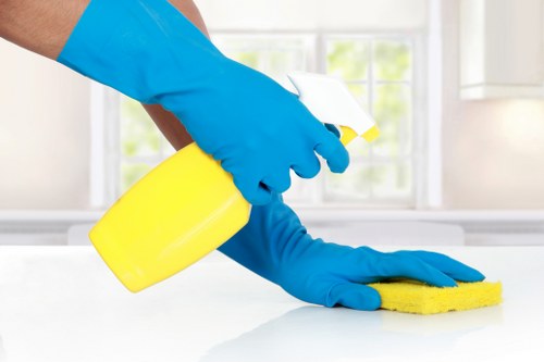 Professional steam carpet cleaning in a home living room