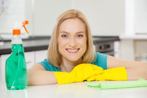 Cleaning pet stains from upholstery and rugs