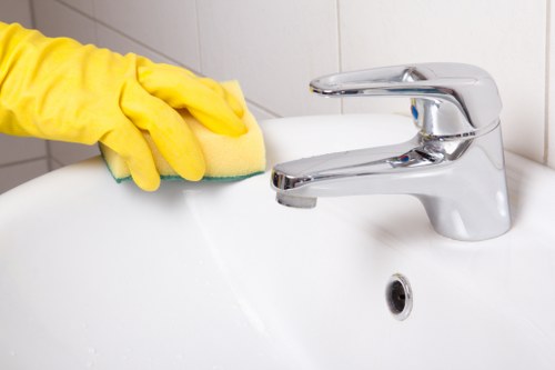 Spot cleaning and deep cleaning tools for carpet maintenance