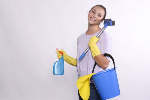 Technician explaining carpet cleaning methods and stain care