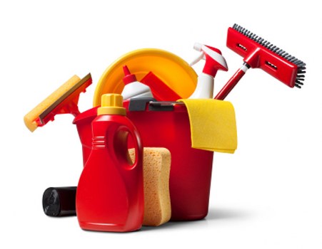 Technician performing professional upholstery cleaning